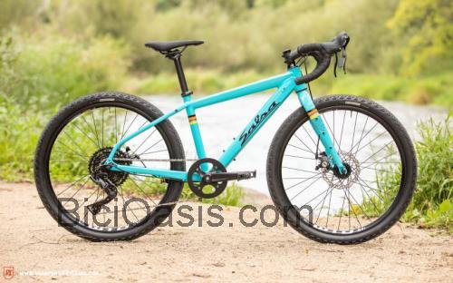 Salsa Journeyman 24 opinión y ficha técnica